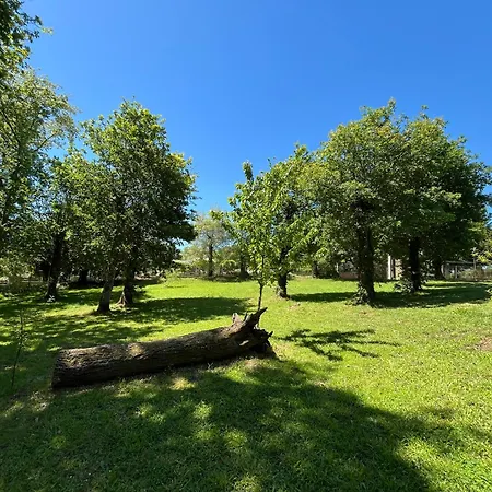 Casa San Roque