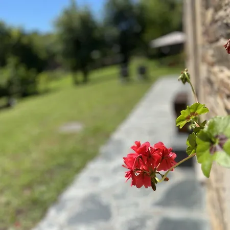 Сasa de vacaciones Casa San Roque *