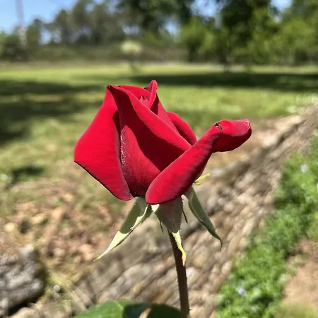 Сasa de vacaciones Casa San Roque